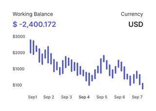 Professional traders analyzing financial markets on Nova Payflux